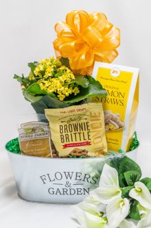 Sensational Flowers & Garden ($35 and Up)